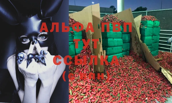 молекула духа Богородск