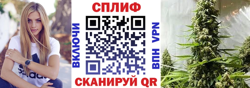 Бошки марихуана план  купить закладку  Верхотурье 